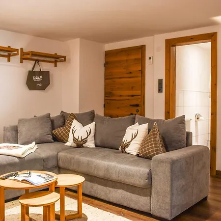 Haus Franzi Apartment