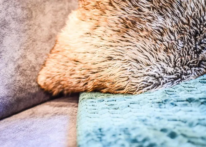 Haus Franzi Apartamento *