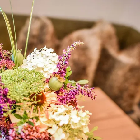 Haus Franzi アパート シュテーク